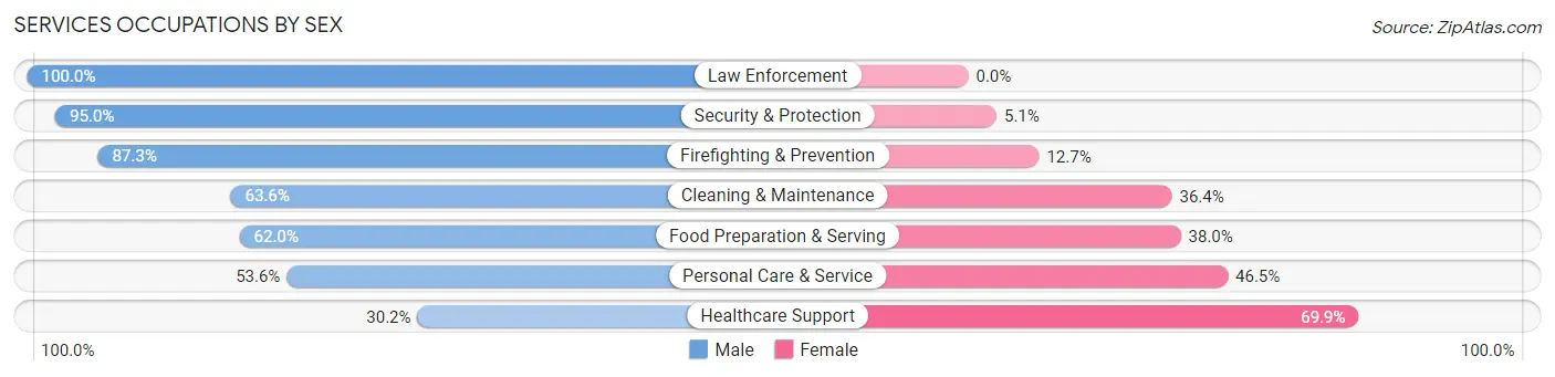 Services Occupations by Sex in Zip Code 78213
