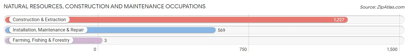 Natural Resources, Construction and Maintenance Occupations in Zip Code 78216