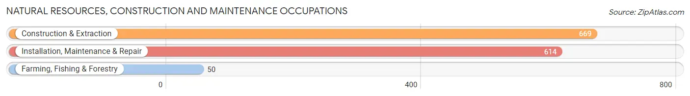 Natural Resources, Construction and Maintenance Occupations in Zip Code 78217