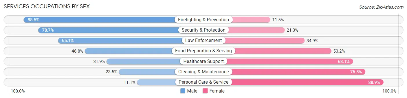 Services Occupations by Sex in Zip Code 78225