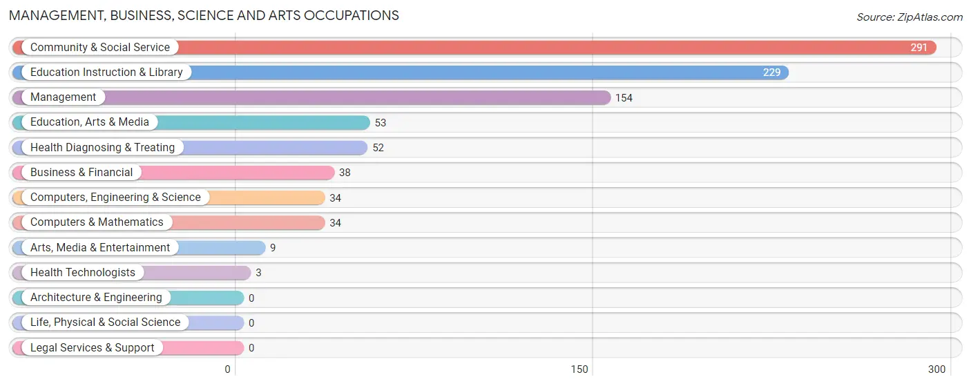 Management, Business, Science and Arts Occupations in Zip Code 78226