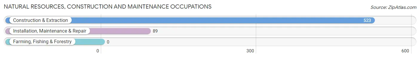 Natural Resources, Construction and Maintenance Occupations in Zip Code 78226