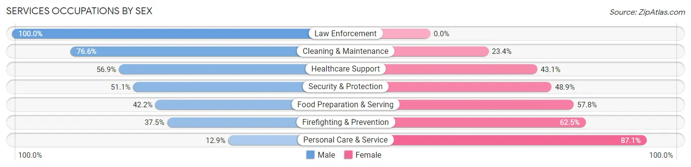 Services Occupations by Sex in Zip Code 78232