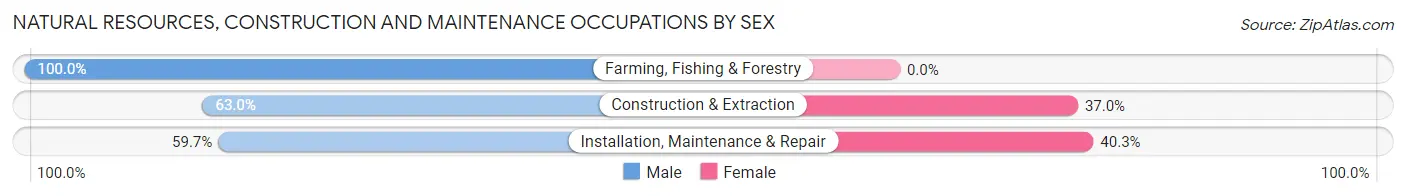 Natural Resources, Construction and Maintenance Occupations by Sex in Zip Code 78236