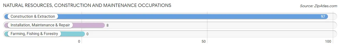 Natural Resources, Construction and Maintenance Occupations in Zip Code 78248