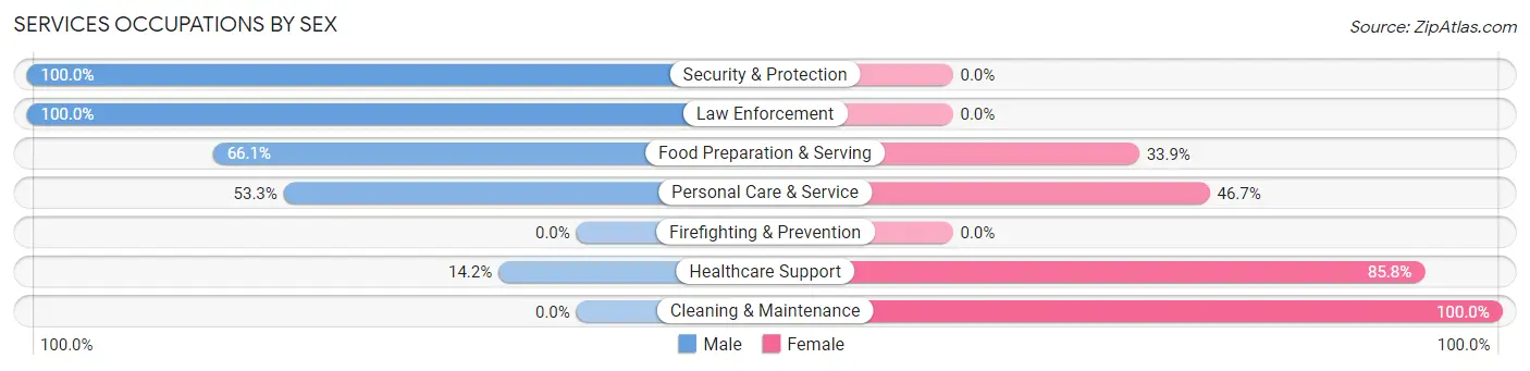 Services Occupations by Sex in Zip Code 78256