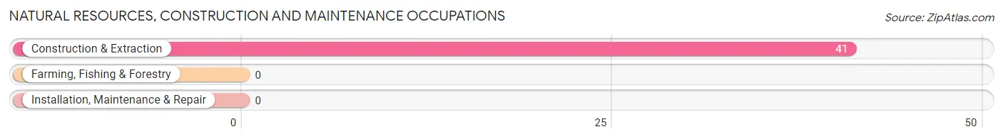 Natural Resources, Construction and Maintenance Occupations in Zip Code 78257