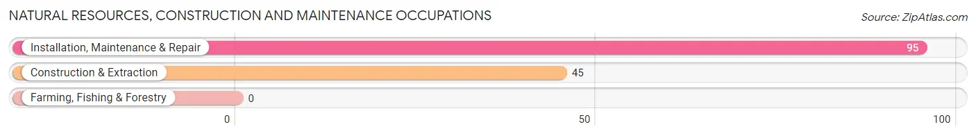 Natural Resources, Construction and Maintenance Occupations in Zip Code 78263