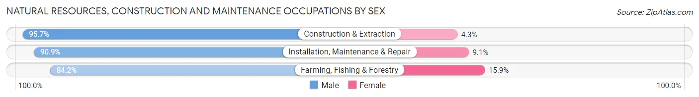 Natural Resources, Construction and Maintenance Occupations by Sex in Zip Code 78332