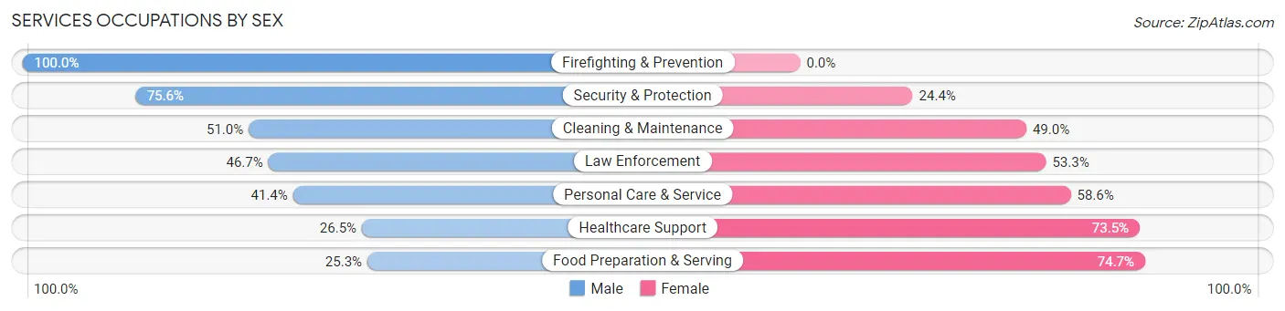 Services Occupations by Sex in Zip Code 78336