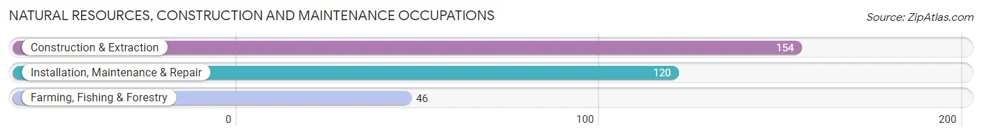 Natural Resources, Construction and Maintenance Occupations in Zip Code 78355