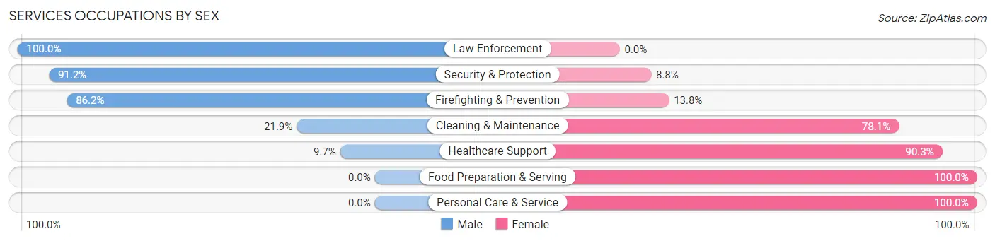 Services Occupations by Sex in Zip Code 78370