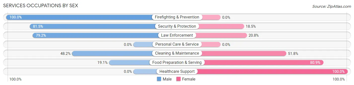 Services Occupations by Sex in Zip Code 78375