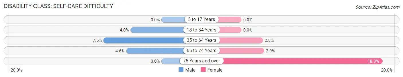 Disability in Zip Code 78377: <span>Self-Care Difficulty</span>