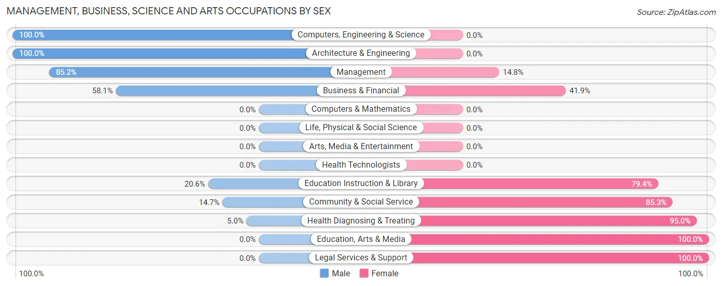 Management, Business, Science and Arts Occupations by Sex in Zip Code 78384