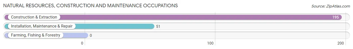 Natural Resources, Construction and Maintenance Occupations in Zip Code 78401