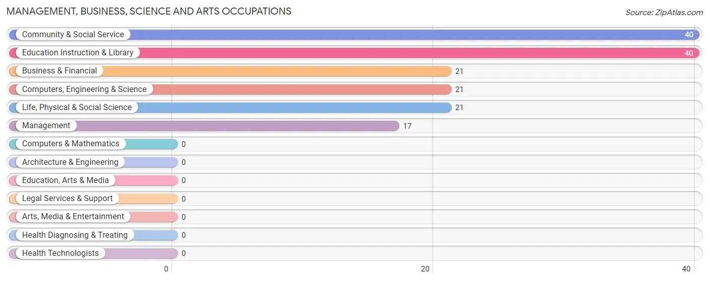 Management, Business, Science and Arts Occupations in Zip Code 78406