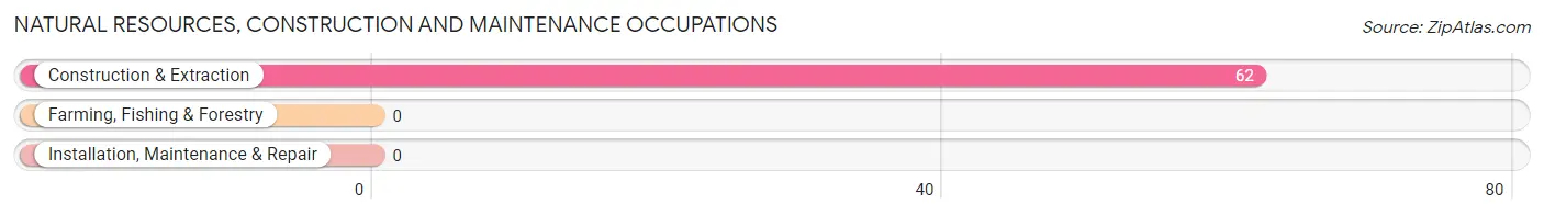 Natural Resources, Construction and Maintenance Occupations in Zip Code 78406