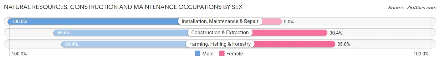Natural Resources, Construction and Maintenance Occupations by Sex in Zip Code 78503