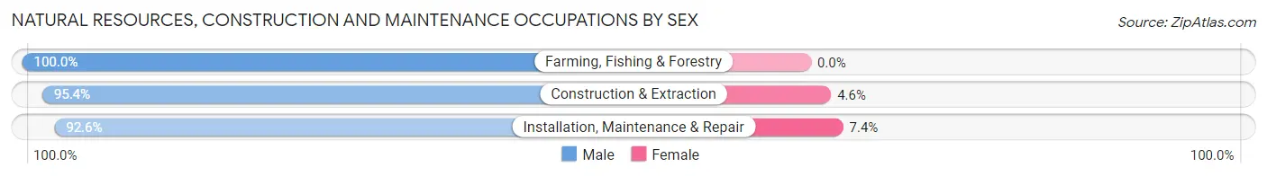 Natural Resources, Construction and Maintenance Occupations by Sex in Zip Code 78516