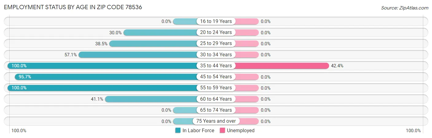 Employment Status by Age in Zip Code 78536