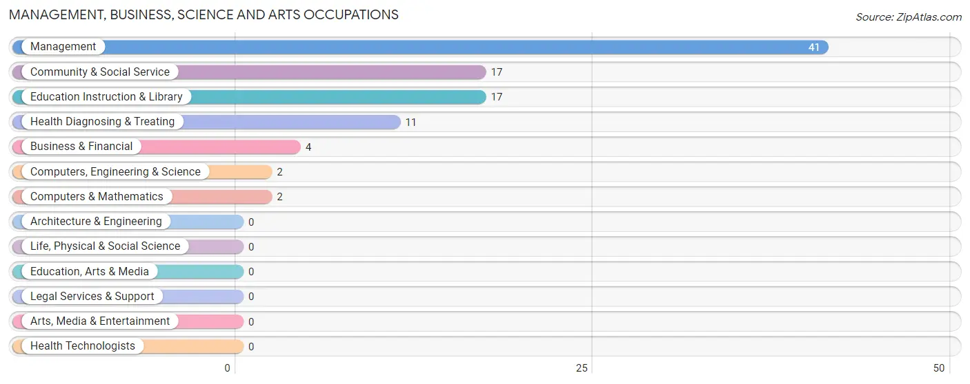 Management, Business, Science and Arts Occupations in Zip Code 78536