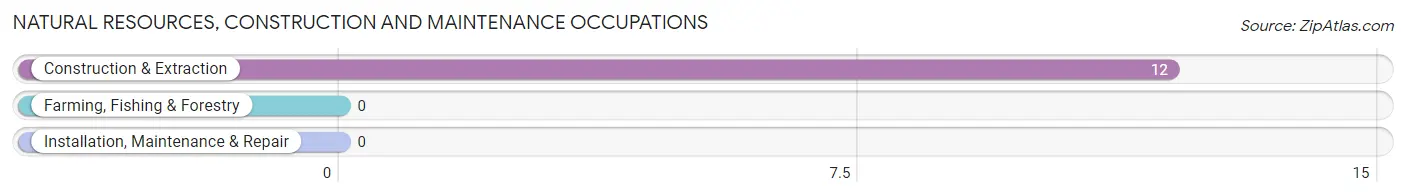 Natural Resources, Construction and Maintenance Occupations in Zip Code 78536
