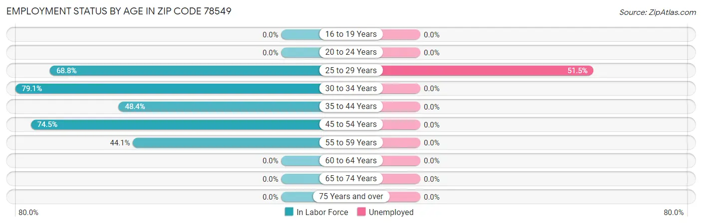 Employment Status by Age in Zip Code 78549