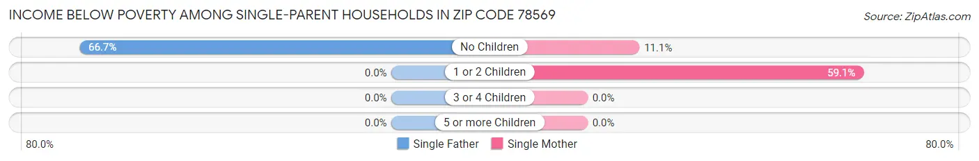 Income Below Poverty Among Single-Parent Households in Zip Code 78569