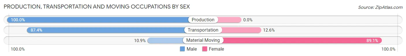Production, Transportation and Moving Occupations by Sex in Zip Code 78576