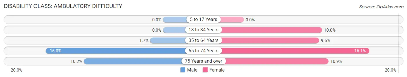 Disability in Zip Code 78578: <span>Ambulatory Difficulty</span>