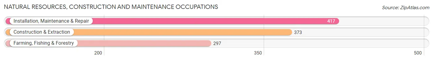 Natural Resources, Construction and Maintenance Occupations in Zip Code 78580