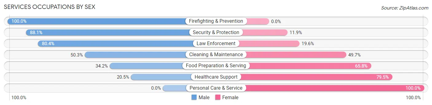 Services Occupations by Sex in Zip Code 78593