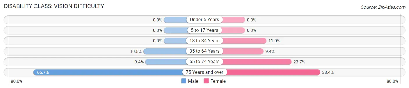 Disability in Zip Code 78595: <span>Vision Difficulty</span>