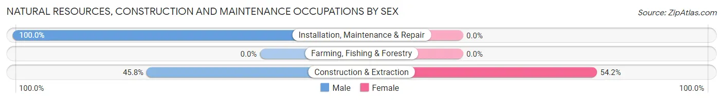 Natural Resources, Construction and Maintenance Occupations by Sex in Zip Code 78597