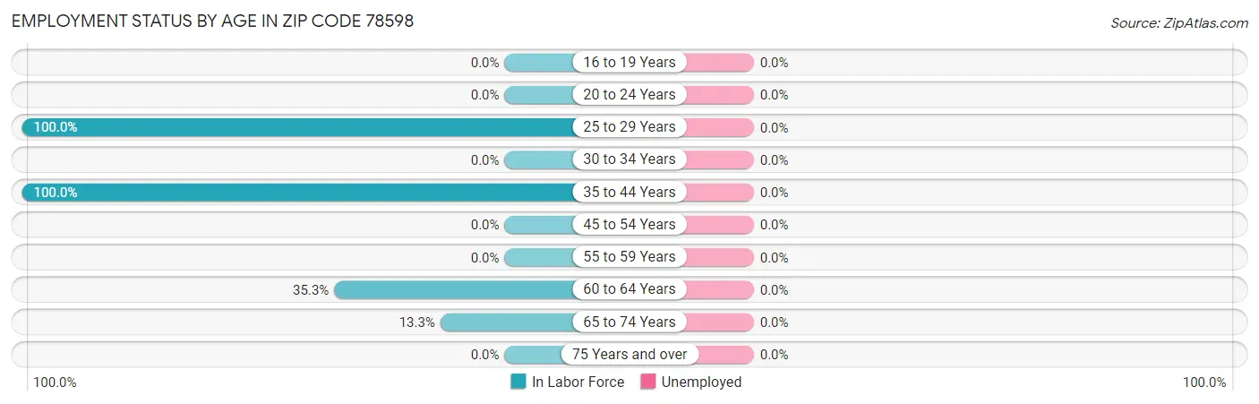 Employment Status by Age in Zip Code 78598