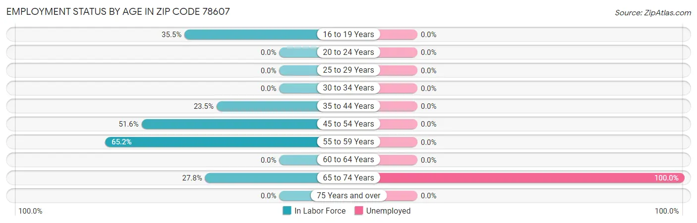 Employment Status by Age in Zip Code 78607