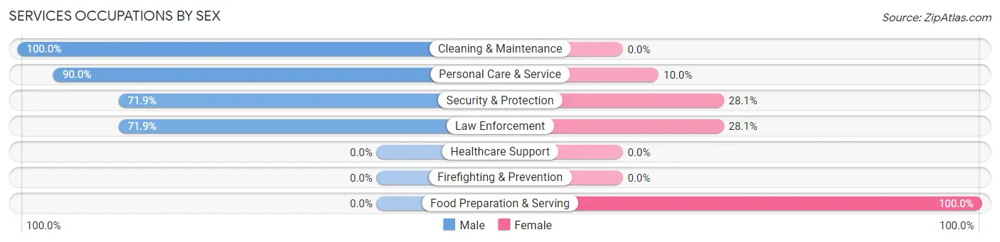 Services Occupations by Sex in Zip Code 78609