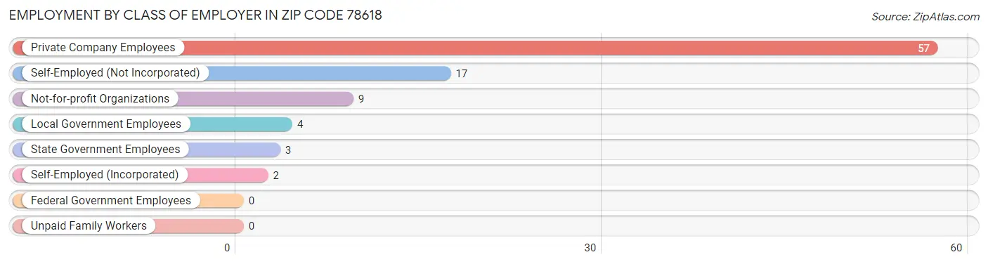 Employment by Class of Employer in Zip Code 78618