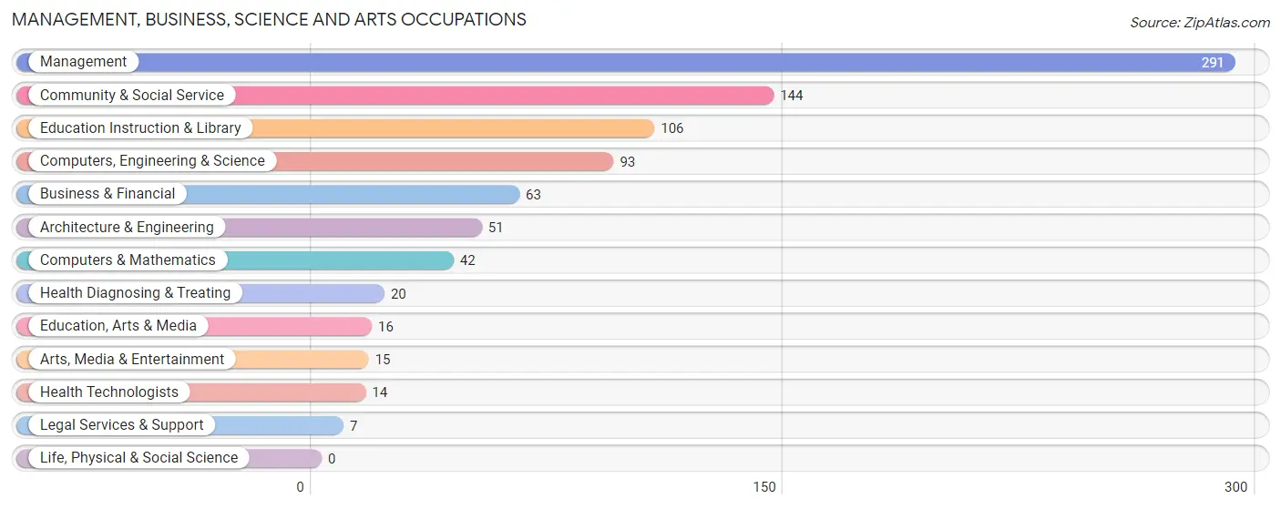 Management, Business, Science and Arts Occupations in Zip Code 78636