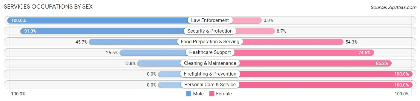 Services Occupations by Sex in Zip Code 78657