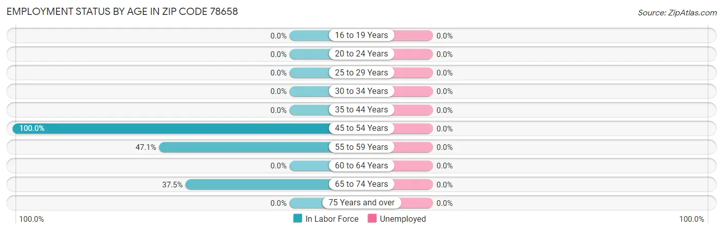 Employment Status by Age in Zip Code 78658