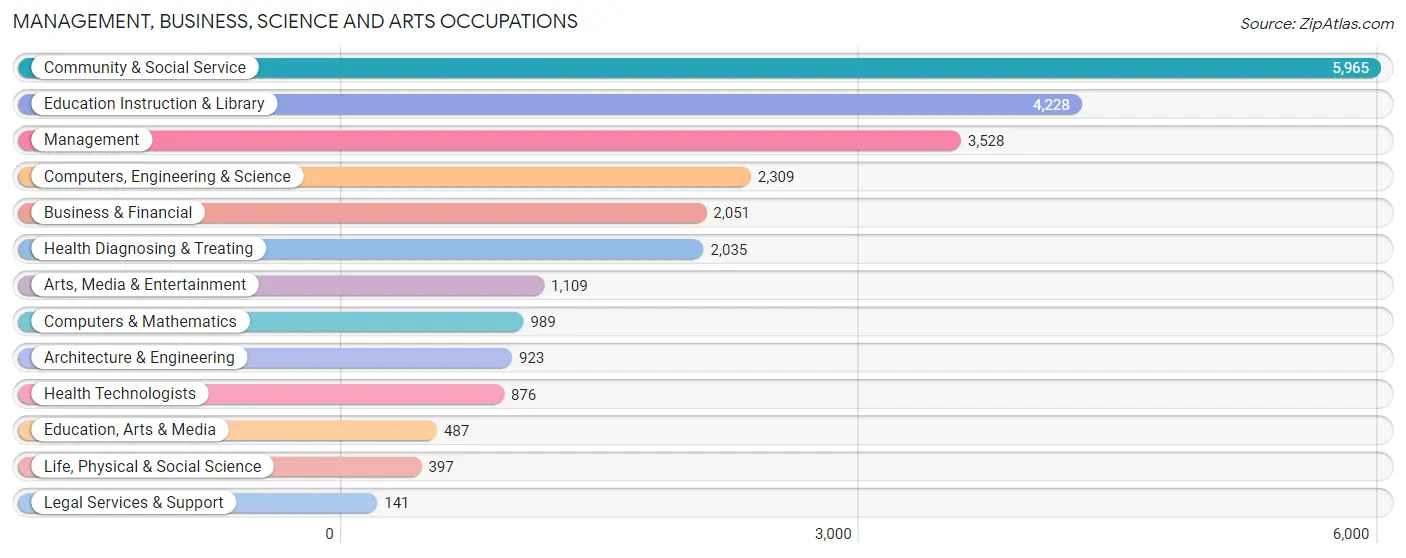 Management, Business, Science and Arts Occupations in Zip Code 78666