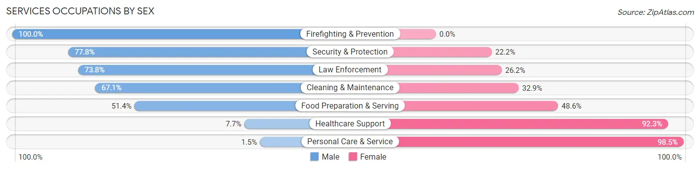 Services Occupations by Sex in Zip Code 78727