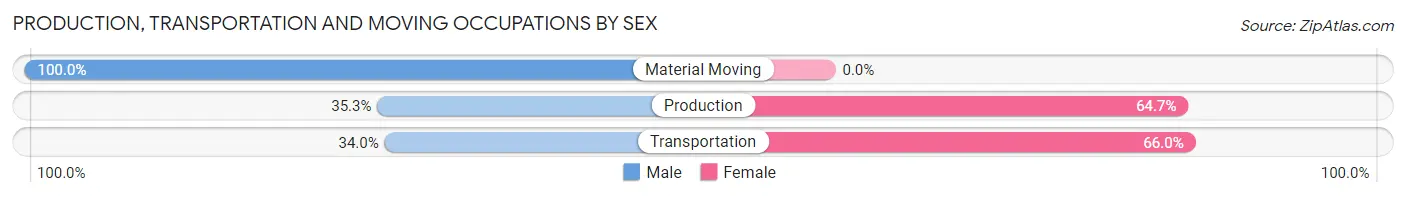 Production, Transportation and Moving Occupations by Sex in Zip Code 78733