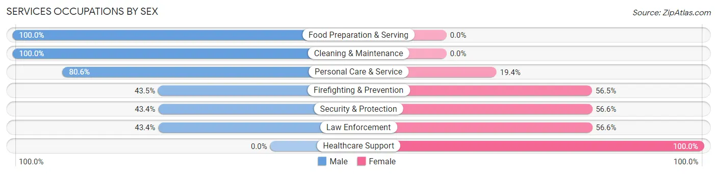 Services Occupations by Sex in Zip Code 78733