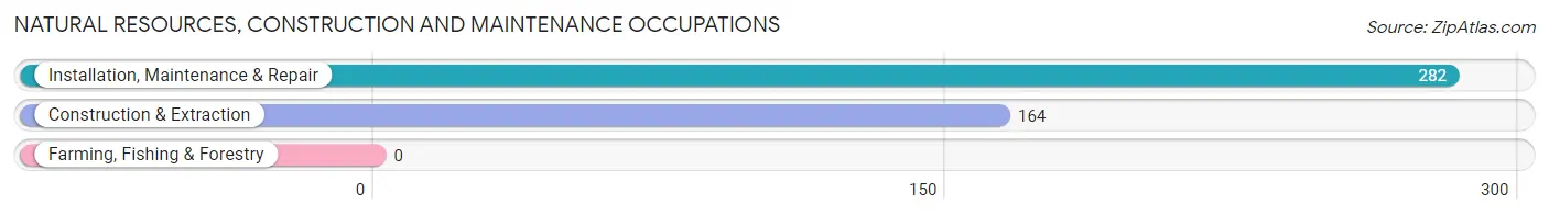 Natural Resources, Construction and Maintenance Occupations in Zip Code 78734