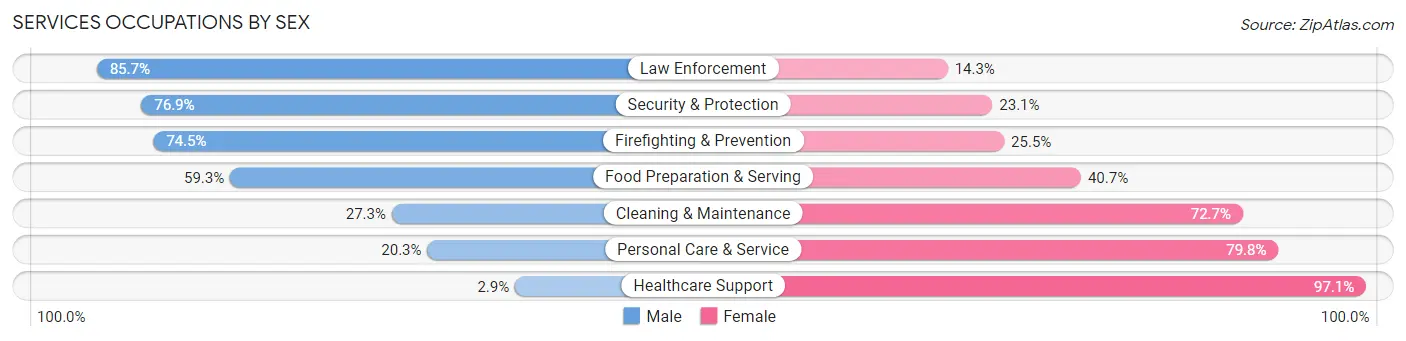 Services Occupations by Sex in Zip Code 78748