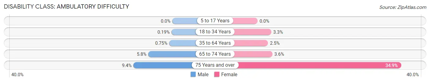 Disability in Zip Code 78749: <span>Ambulatory Difficulty</span>