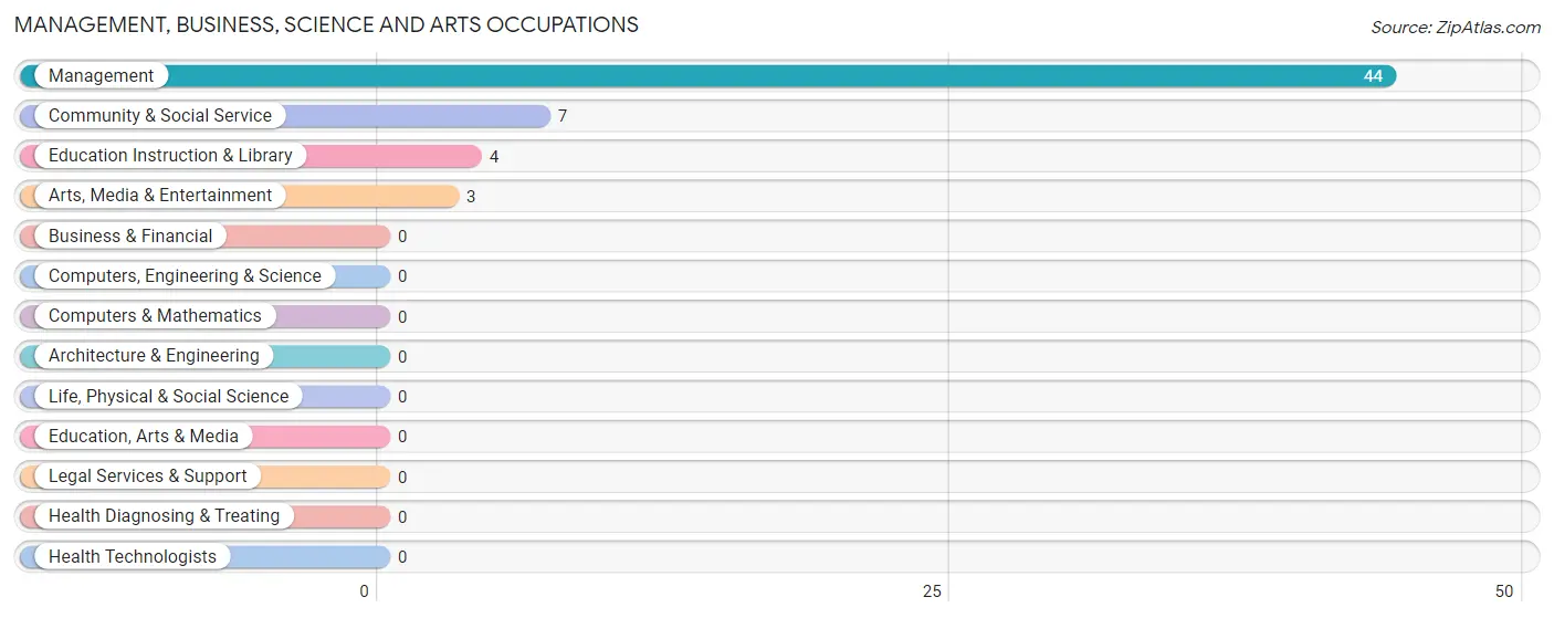 Management, Business, Science and Arts Occupations in Zip Code 78873